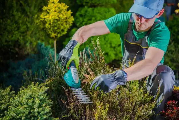 landscaping services Syosset